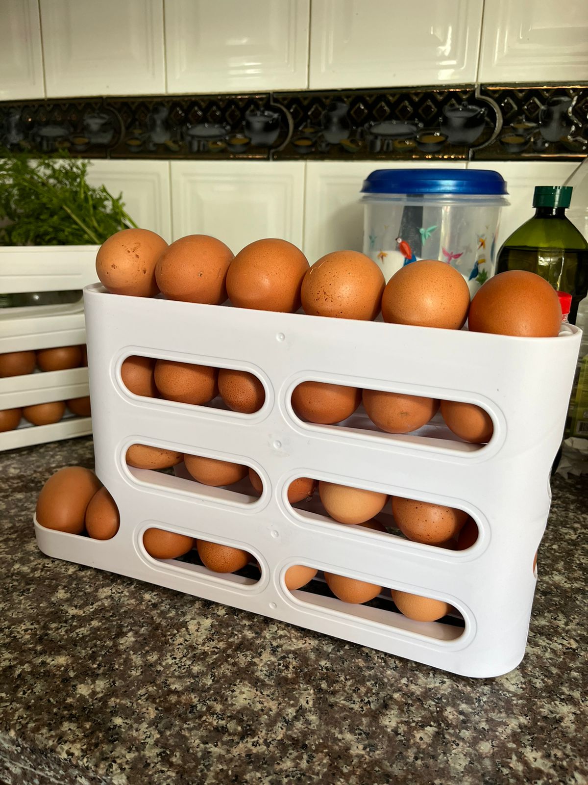 Organizador de huevos automatico