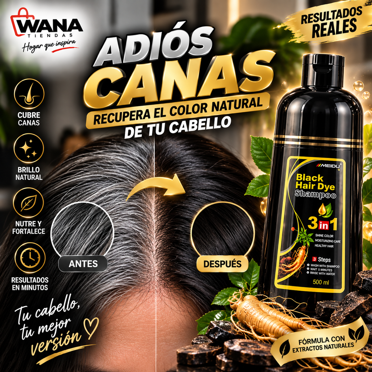 Black Hair Dye Shampoo 3 en 1