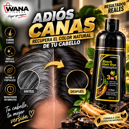 Black Hair Dye Shampoo 3 en 1