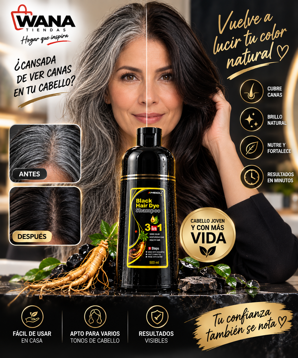 Black Hair Dye Shampoo 3 en 1